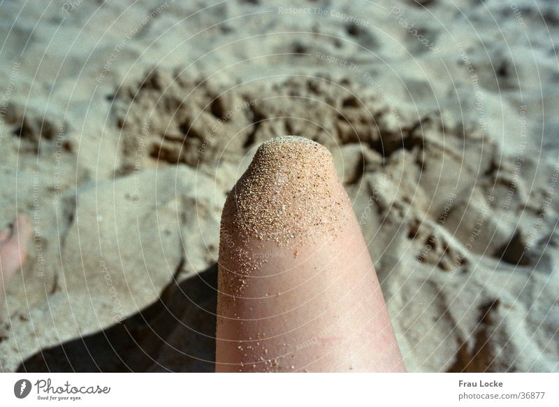 Sand am Knie Strand Meer Ferien & Urlaub & Reisen Erholung faulenzen Sonnenbad Mensch Beine
