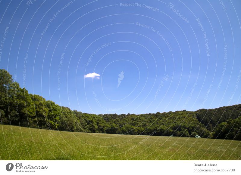 "Heiter bis wolkig": Sonnenüberflutete Wald-Wiesen-Landschaft mit winzigem Wölkchen Himmel blau Himmelblau klar Einzelwolke Sommer Außenaufnahme grün grün-blau