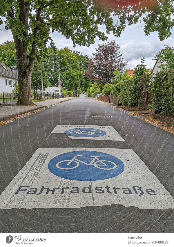 Fahrradstraße Emblem, Zeichen Straße Beschriftung Buchstaben Verkehrswege Farbe Asphalt Piktogramm Markierung Stadt Fahrradfahren Hecke Asphaltstraße blau