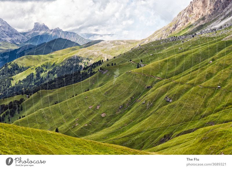 Sommer in den Dolomiten Alpen Alm Berge u. Gebirge Wiese Wolken Natur Himmel Felsen Gipfel wandern Südtirol Panorama (Aussicht) Ferien & Urlaub & Reisen