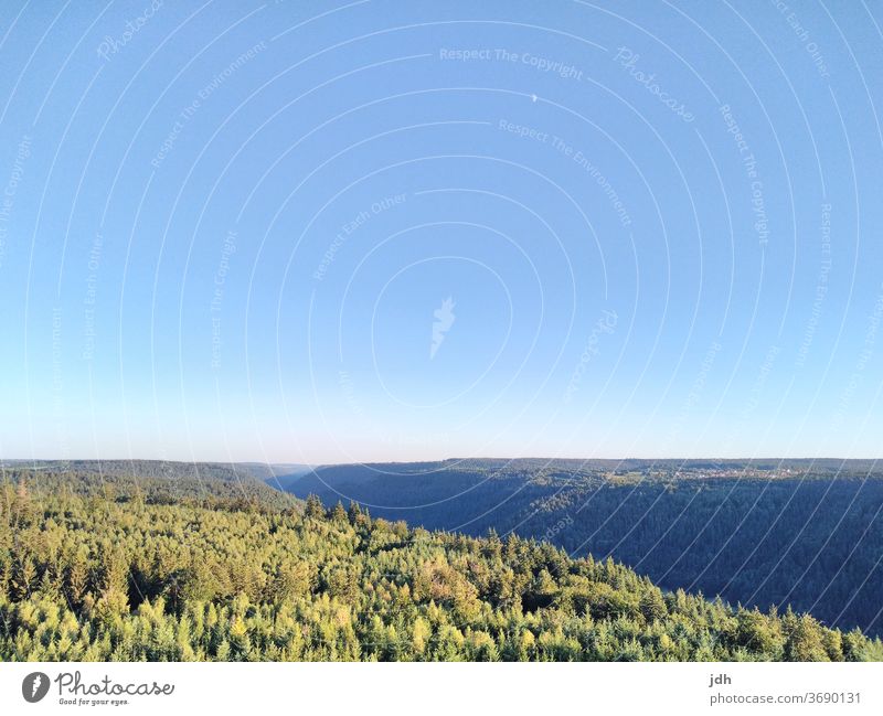 Bild von Aussichtsturm über Nordschwarzwald Schwarzwald, Landschaft Wald Natur Außenaufnahme Menschenleer Himmel Hügel Sommer Schönes Wetter Textfreiraum oben
