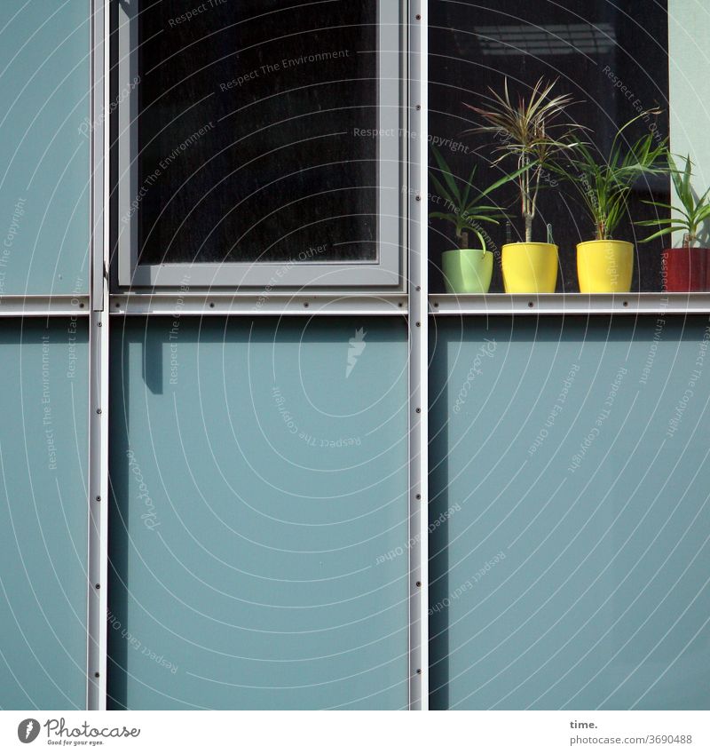 Stellwerk architektur Irritation skurril Perspektive glas fenster wand fassade Menschenleer Farbfoto ungewöhnlich zusammen nebeneinander style stylish pflanzen