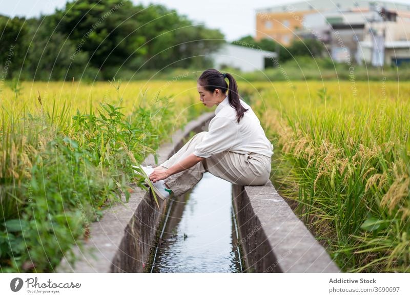 Ethnische Frau entspannt in der Nähe von Reisfeldern bewässern Kanal Feld sich[Akk] entspannen Natur grün Sommer Wochenende kultivieren ethnisch asiatisch Stein