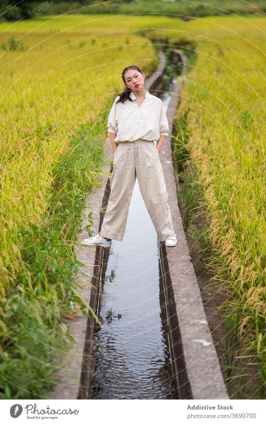 Asiatische Frau im üppigen Reisfeld Feld Wasser Kanal bewässern grün Windstille Sommer Saison ethnisch asiatisch frisch Gesundheit Ackerbau ruhig natürlich