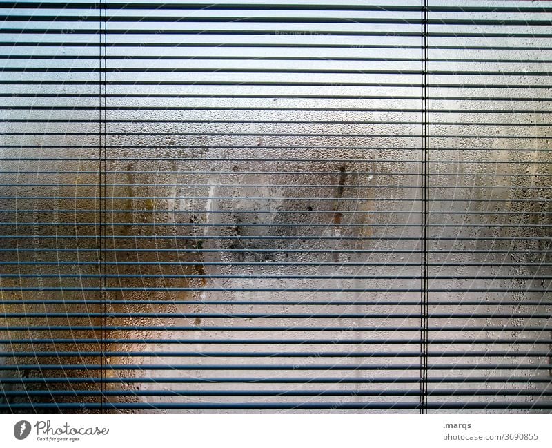 Sichtschutz Fenster beschlagene Scheibe Tau feucht Linie Jalousie schemenhaft undurchsichtig Wassertropfen Fensterscheibe