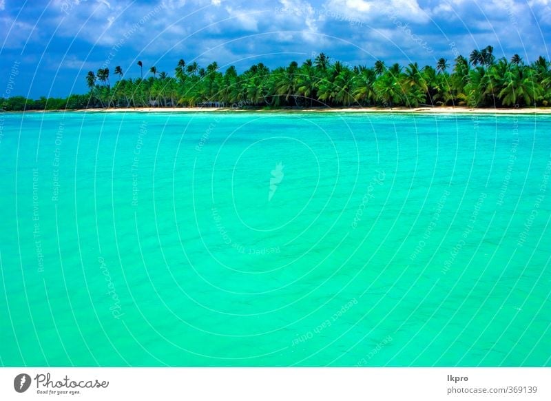 küste und baum in der republika dominicana Strand Meer Insel Wellen Natur Sand Himmel Wolken Baum Küste blau braun grün schwarz weiß republica dominicana Wasser