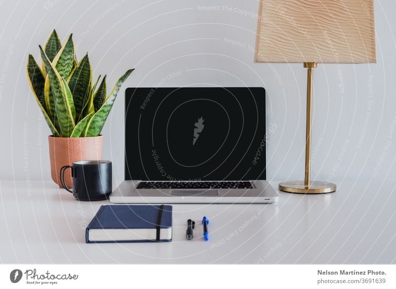 Weißer und sauberer Arbeitsbereich. Laptop auf einem weißen Tisch mit einer Pflanze, einer Lampe und einer schwarzen Tasse Kaffee. Desktop niemand Business