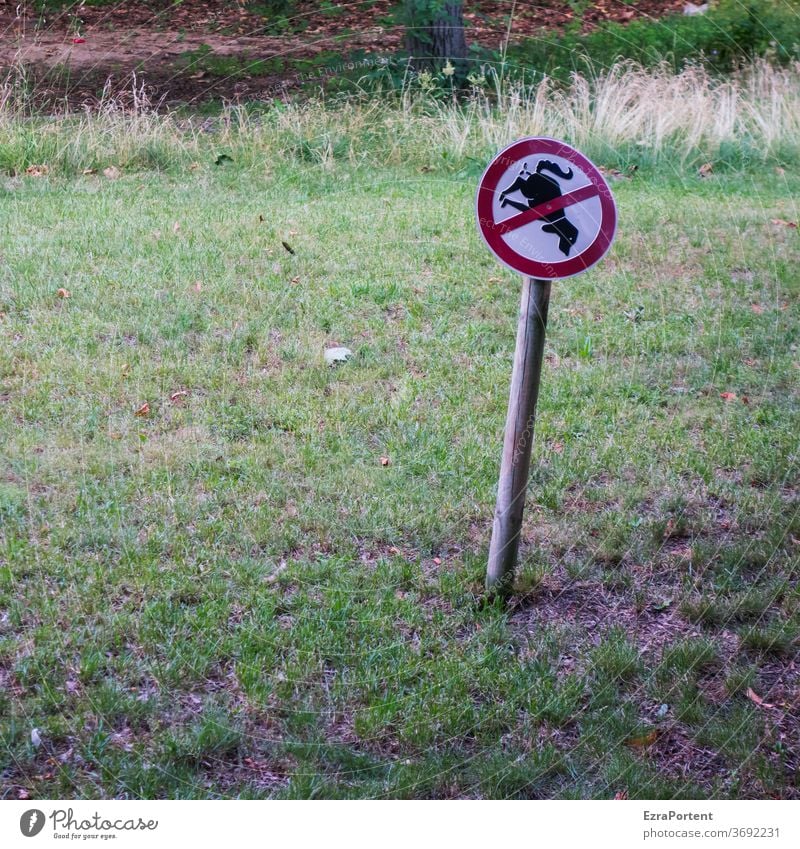 nicht erlaubt|Ausscheidung während eines Köppers (nur für Hunde) Kopfsprung Verbotsschild Verbote Schilder & Markierungen Rasen Ausscheidungen Gassi gehen