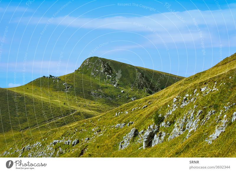 Cota 2000 im Bucegi-Gebirge, Sinaia, Rumänien Sibiu bucegi Natur Ökosystem Umwelt umgebungsbedingt Berge u. Gebirge bucegi berge Karpatengebirge Fogaras-Gebirge
