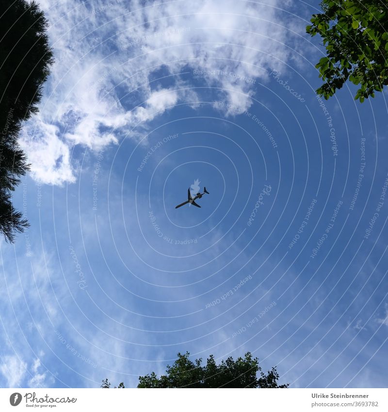 Flugzeug im Landeanflug Flieger Ferienflieger Himmel Bäume Wolken Blau Luftfahrzeug Luftverkehr fliegen Anflug Einflugschneise Verkehrsmittel Flugreise reisen
