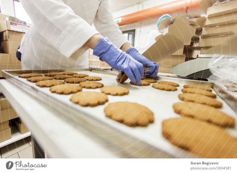 Keksfabrik Fabrik Lebensmittel Kuchen Inszenierung Industrie süß Herstellung Bäckerei geschmackvoll backen vorbereitend Automatisierung Pflanze Ernährung frisch