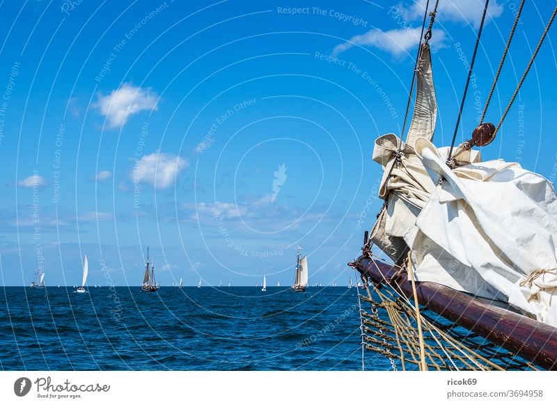 Segelschiffe auf der Hanse Sail in Rostock Windjammer Warnemünde Ostsee Meer Küste maritim Seefahrt Schifffahrt segeln Ostseeküste Himmel Wolken blau Wasser