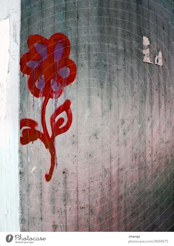 Blume Graffiti streetart Wand Beton grau rot Wandmalereien Symbole & Metaphern