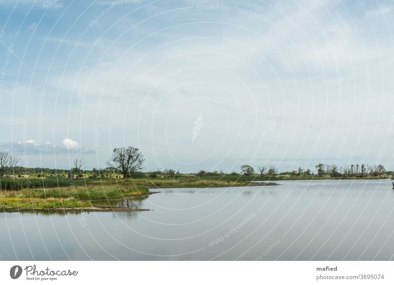 Sommertag im Naturschutzgebiet Geltinger Birk Landschaft Wasser Schönes Wetter Außenaufnahme Menschenleer Himmel Gedeckte Farben ruhig Tag grün blau Erholung
