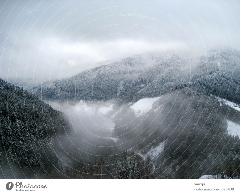 Ungemütliches Wetter im Mittelgebirge Tal kalt Wald Frost Eis Nebel Landschaft Berge u. Gebirge Schnee Winter Wolken Vogelperspektive