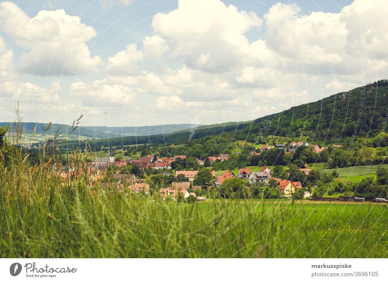 Leutenbach in der Fränkische Schweiz Oberfranken Bayern dorf Urlaub wandern Hügel Berghang Berge Wiese Wiesenblume Sommer Sommerurlaub sommerlich