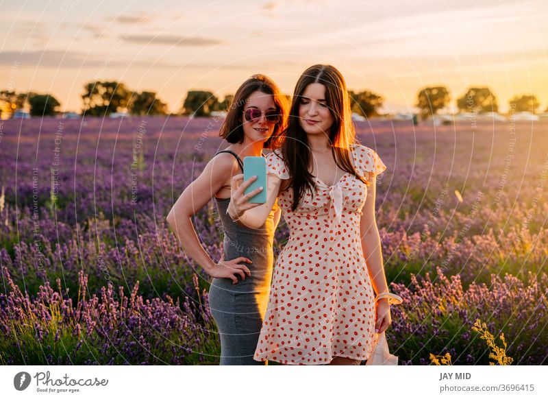 Zwei Freunde fotografieren mit ihrem Handy in einem Feld mit blühenden Lavendeln Frau... zwei Feiertag Fotos machen Telefon Selfie Sommer Urlaub Blüte genießen