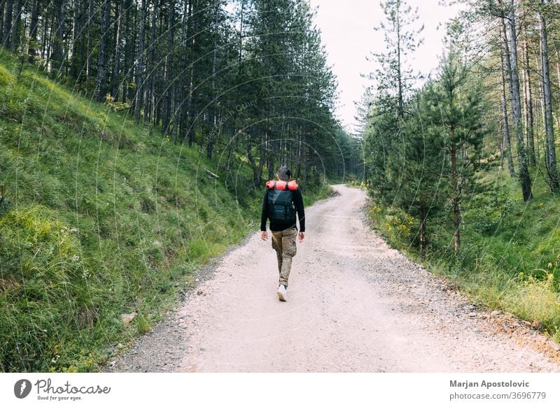 Junger männlicher Naturforscher geht auf dem Feldweg durch den Wald aktiv Abenteuer Rucksack Backpacker Rucksacktourismus Landschaft Schmutz erkunden Entdecker
