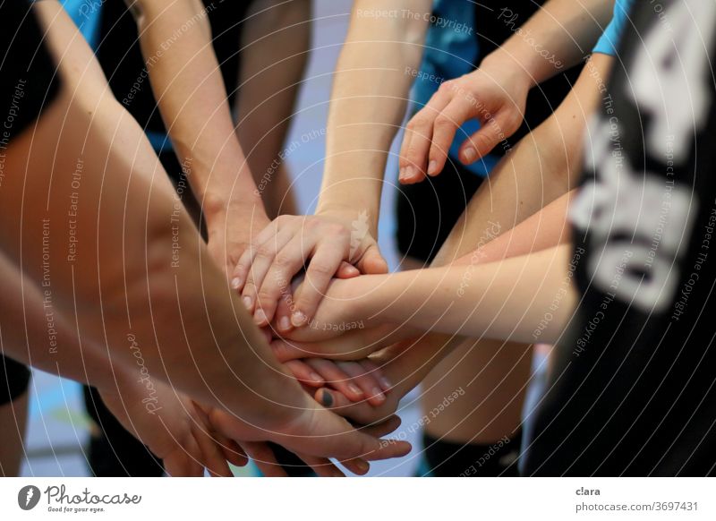 Volleyball - Einschwören in der Auszeit Team Teamspirit Hände Zusammenkunft Teamgeist Hallenvolleyball Sport Ballsport Wettkampf sammeln einschwören