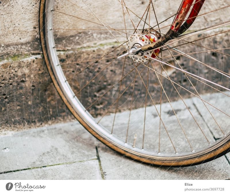 Reifen eines vintage Rennrades Ausschnitt Detail Rad Fahrrad retro Rot gold schön Hipster Verkehrsmittel Fahrradreifen alt Speichen