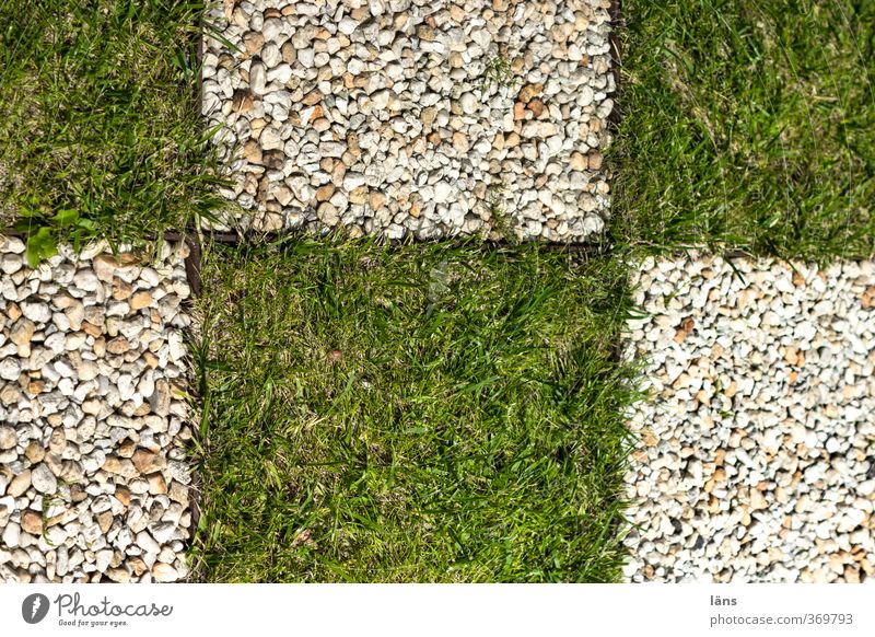 Portrait Freizeit & Hobby Natur Gras Garten Stein grün gewissenhaft Ausdauer Ordnungsliebe Reinlichkeit Sauberkeit anstrengen Stress Entschlossenheit