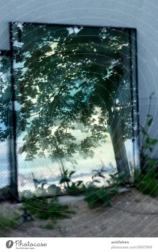 Spiegelung von Geäst, Fensterscheibe und ein Besen - ein lizenzfreies Stock  Foto von Photocase