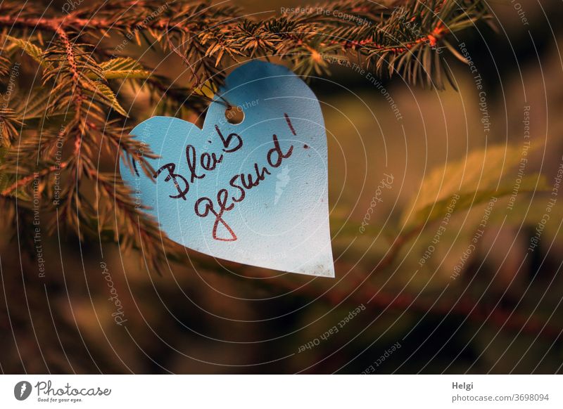 Bleib gesund! - auf einem weißen Herz aus Papier, an einem Tannenzweig im Wald Gesundheit Wunsch Text Wort Schrift Geste nett Liebe Corona Covid-19 Krankheit