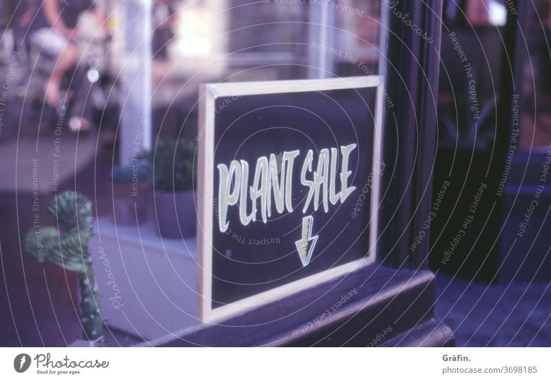 Pflanzenkauf für Pflanzenfreaks Schilder & Markierungen Schriftzeichen Tafel fenster einkaufen shopping Hinweisschild Verkauf Ladengeschäft Menschenleer