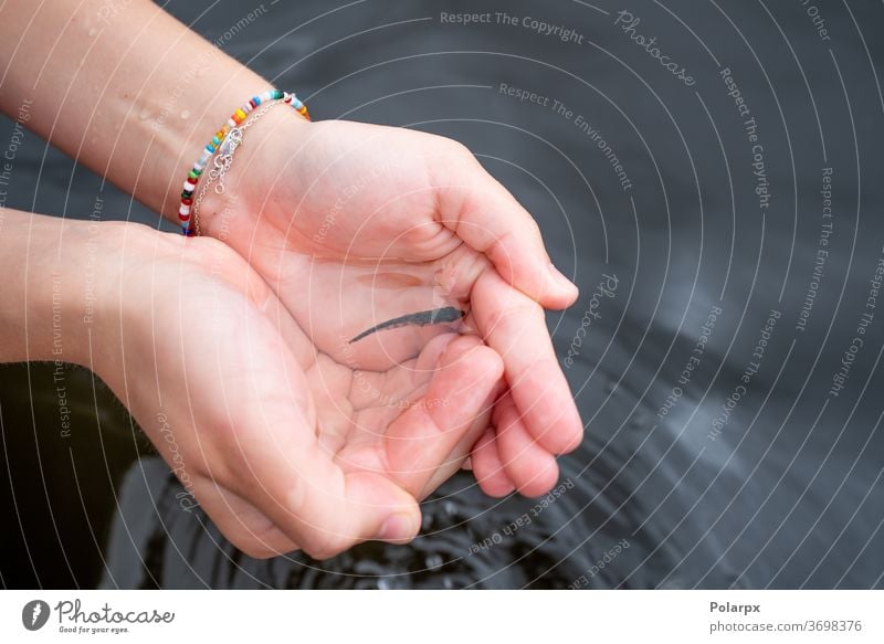 Einen kleinen Fisch von Hand in einem dunklen Fluss fangen Pflege Arten menschlich Kaukasier Aquarium Spaß Fischer Kreatur Hobby Angeln Kinder See Aktivität