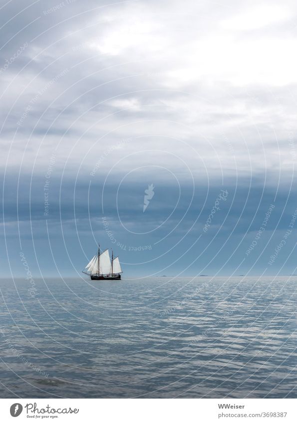 Ein großes Segelschiff am frühen Morgen Horizont Meer See Wellen Himmel Wolken Wasser Urlaub Reisen Ferne Fernweh Freiheit Ferien & Urlaub & Reisen bewölkt Wind