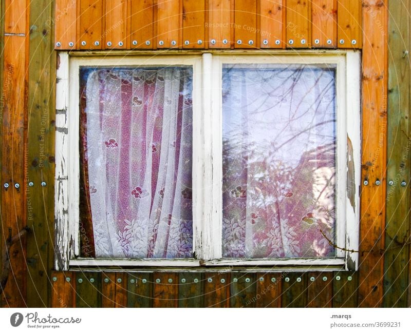 Fenster am Bauwagen Holzwand Nahaufnahme Reflexion & Spiegelung Gardine