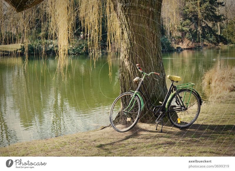 altes Fahrrad unter einem Baum Natur See Teich Freizeit Erholung Park im Freien Aktivität Lifestyle retro Landschaft grün Radfahren Filter Instagramm malerisch