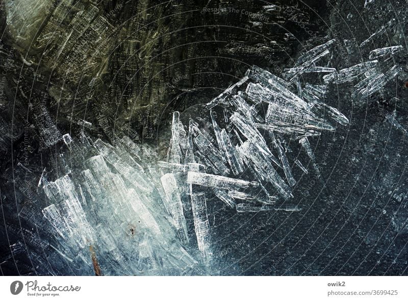 Eisdrift Winter Frost Menschenleer Eiskristall Muster kalt Strukturen & Formen abstrakt gefroren Nahaufnahme Detailaufnahme Farbfoto Kristallstrukturen