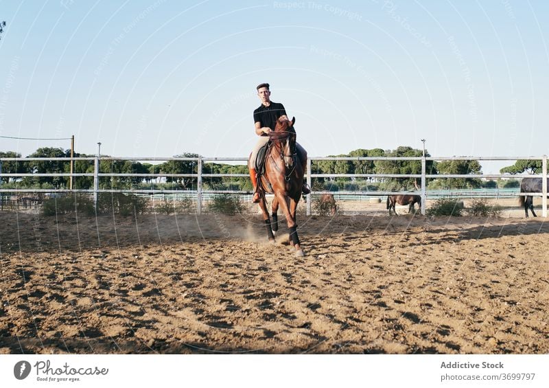 Männlicher Reiter auf fuchsfarbenem Pferd Dressur Reiterin Pferderücken Mann Mitfahrgelegenheit Sattelkammer Kastanie Arena reiter männlich Jockey Sand Ranch