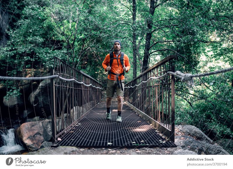 Reisender Mann auf Brücke im Wald Urlaub bewundern Suspension sorgenfrei Vollbart Fernweh männlich Abenteuer erstaunlich Natur Wälder Trekking Wanderung