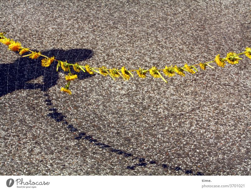 Blumenband >< Atomstromland  | Gegensätze blumen sonnenblume blumenkette schatten mensch straße demonstration halten gelb asphalt straßenbelag