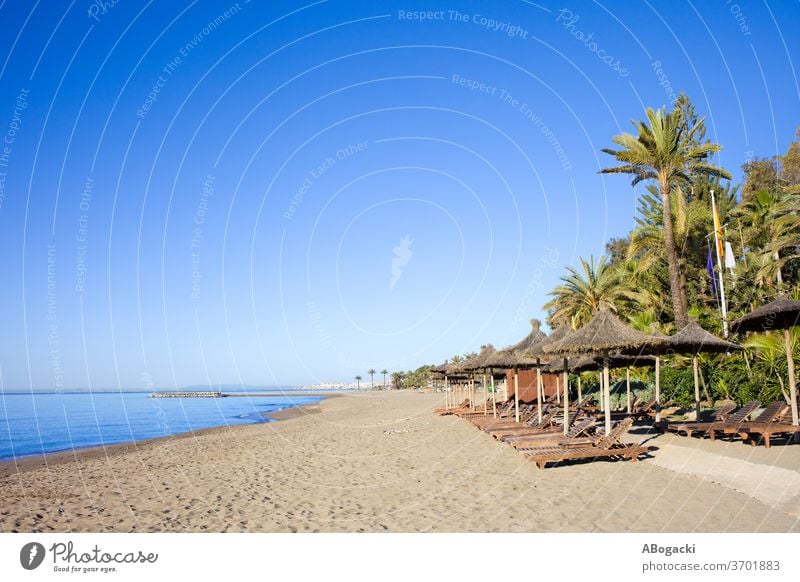 Strand mit Palmen und Liegestühlen an der Costa del Sol im Ferienort Marbella, Spanien MEER Resort Urlaub Feiertage reisen Freizeit Andalusia Europa Liegestuhl
