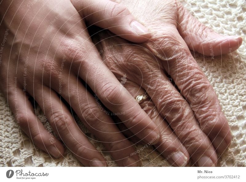 Gegensätze I ALT und jung Hände Hand Finger Vertrauen alt berühren Gefühle Haut Leben Weisheit Hautfalten Lebensalter Wärme authentisch Lebensfreude Sicherheit