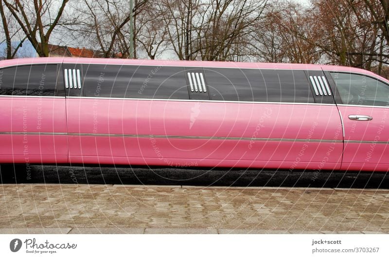 rosa Stretch-Limo PKW Stretch Limousine Dekadenz Reichtum Bürgersteig kahle Bäume lang us car Design Karosserie Statussymbol verlängert Komfort Detail