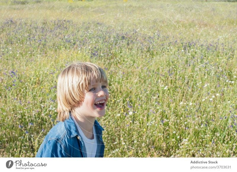 Unbekümmerter Junge in blühender Wiese Blütezeit Kind sorgenfrei Lachen sich[Akk] entspannen niedlich Sommer sonnig bezaubernd heiter Freude Feld Blume Glück