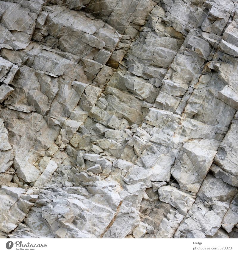 AST6 Inntal | Urgestein... Umwelt Natur Felsen Alpen alt authentisch außergewöhnlich eckig einfach einzigartig natürlich braun grau ruhig standhaft gefährlich