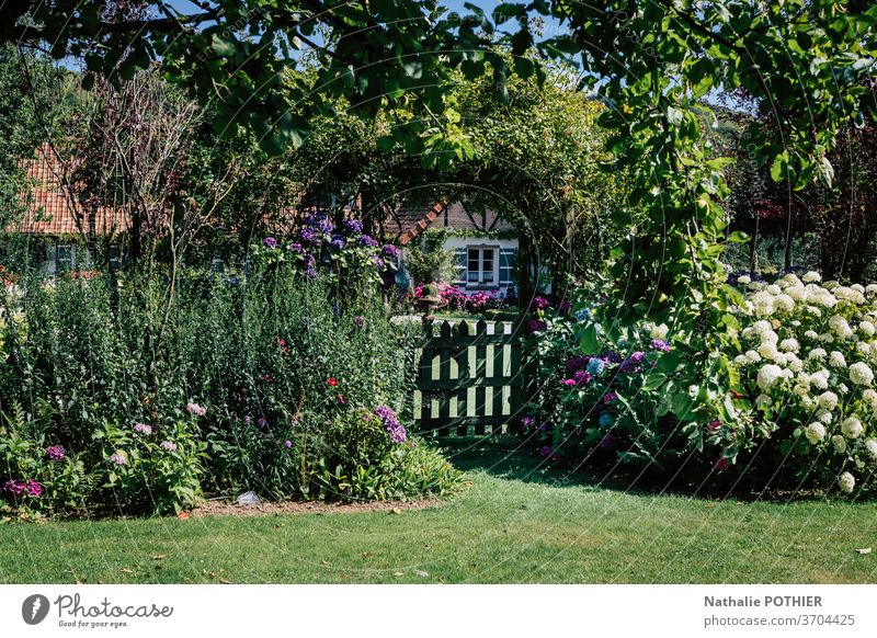 Wunderschöner Blumengarten mit kleinem Holztor und Haus im Hintergrund Garten hölzern Gate Cottage Bäume Blumenbeete Gartenarbeit Sommer Gras Rasen bunt