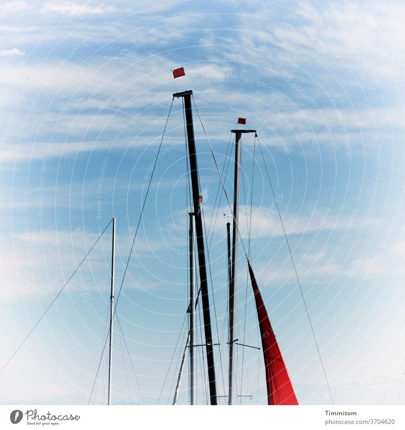 Vorfreude | Das Wetter passt Bodensee Himmel blau Wolken Schönes Wetter Bootsfahrt Bootsmast Wimpel Seile Außenaufnahme Menschenleer Sommer Schifffahrt