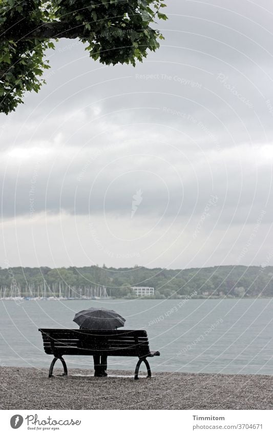 Vorfreude | Der Regenschauer wird enden Bodensee Ufer Kies Sitzgelegenheit Regenschirm Mensch Schutz Wolken Himmel Baum