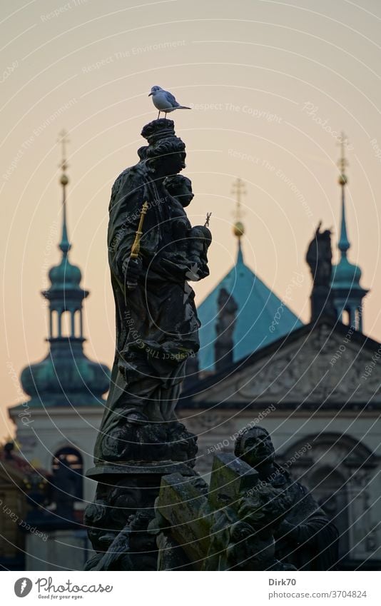 Statue auf der Prager Karlsbrücke Brücke Skulptur König Kaiser Möwe Lachmöwe Kopfbedeckung Kirche Schwache Tiefenschärfe Tschechien Stadt Außenaufnahme
