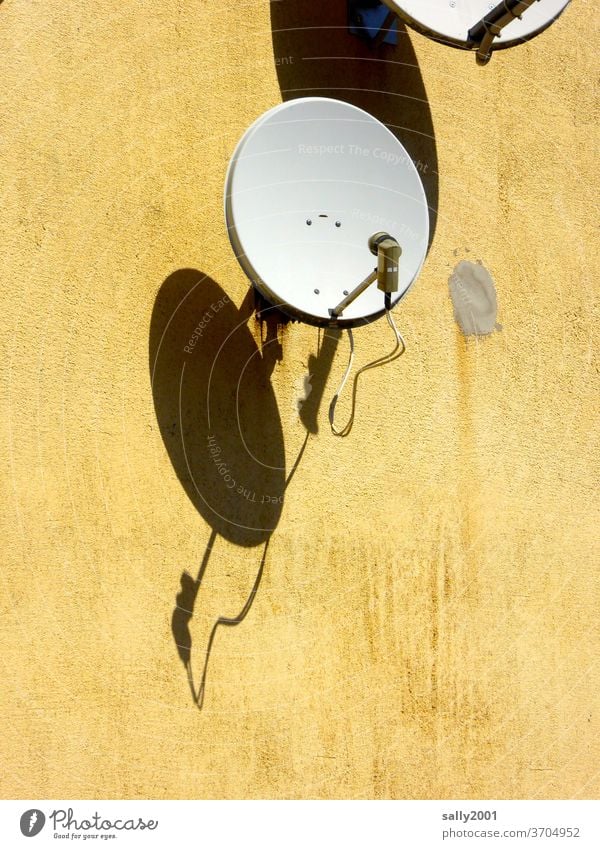 voll auf Empfang... Satellitenschüssel Satellitenantenne Schatten Hauswand gelb Fassade 2 Klecks Mauer Wand fensterlos Gebäude TV Technik & Technologie