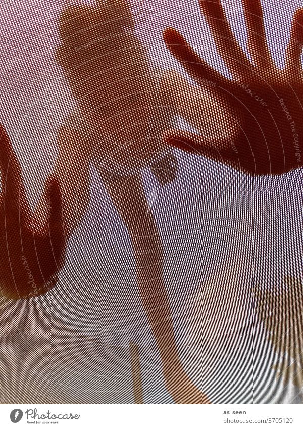 Handstand auf dem Trampolin Netz Mädchen Froschperspektive von unten Sprungtuch ungewöhnlich Hände Fitness Garten Spaß zuhause Urlaub Freizeit Freude Sommer