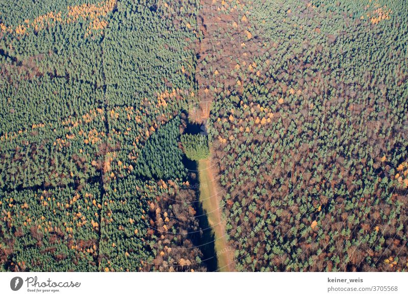 Wald als Luftbild mit grünen und braunen Bäumen wald luftbild Wälder Forstwirtschaft felder Waldsterben Waldwege beschaffenheit struktur Schneise Borkenkäfer