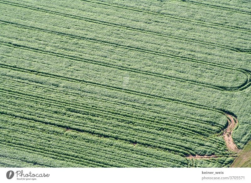 Landwirtschaftliche Fläche von oben gesehen mit Spuren der maschinellen Bewirtschaftung in grünen Farben luftbild ackerflächen landwirtschaft felder