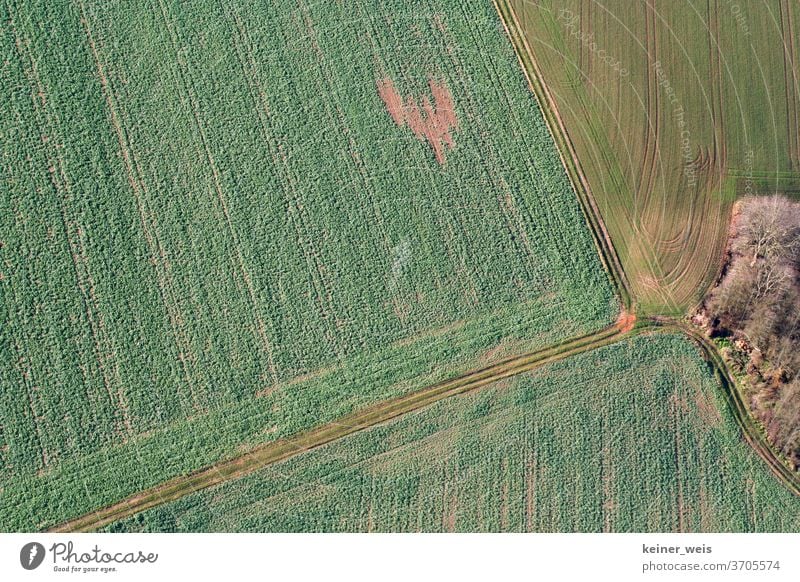 Landwirtschaftliche Fläche von oben gesehen in grünen Farben luftbild ackerflächen landwirtschaft felder beschaffenheit struktur aufteilung vogelperspektive